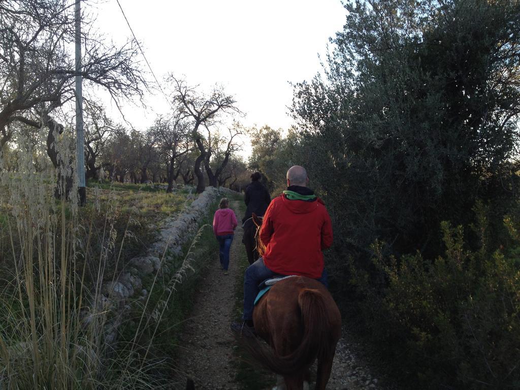 Agriturismo Vita E Natura Villa Noto Kültér fotó