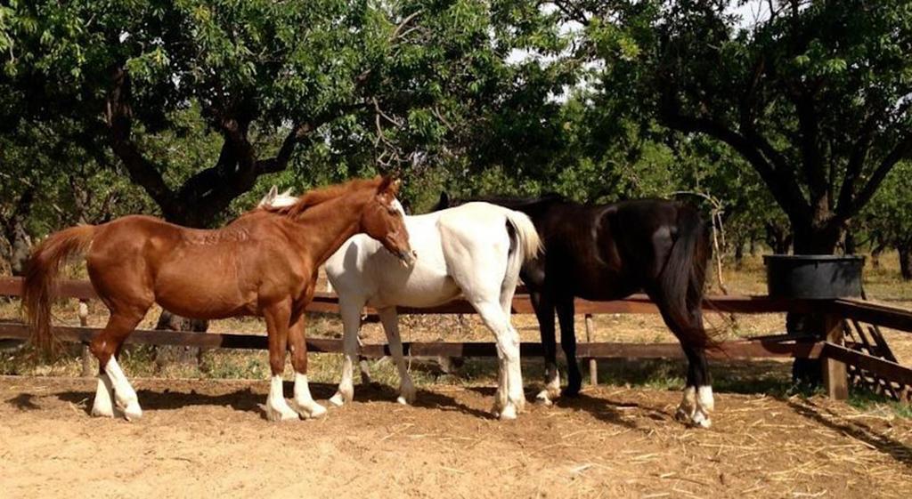 Agriturismo Vita E Natura Villa Noto Kültér fotó